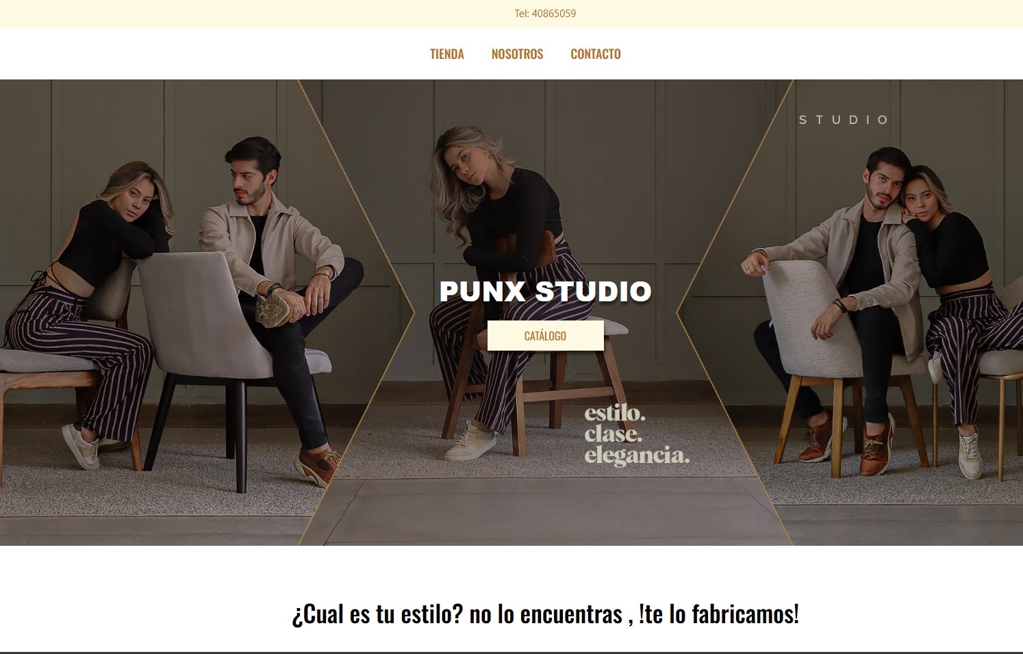 Pagina Web Punx Studio